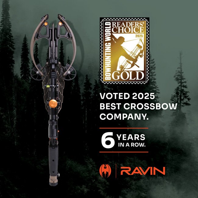 Promotional creative